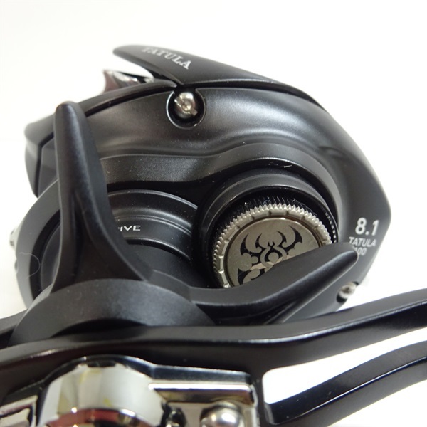 ２４タトゥーラＴＷ１００ＸＨＬ